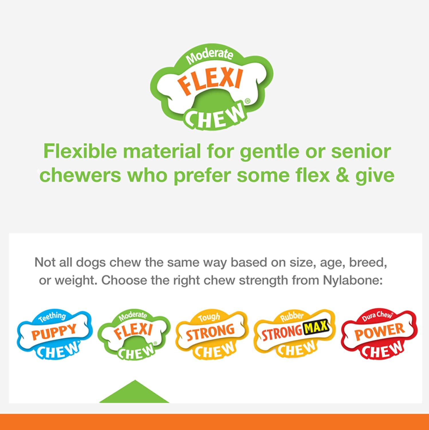 Pet Supplies : Pet Treat Bones : Nylabone Flex Moderate Chew Dog Toy Chicken X-Small/Petite (1 Count) : Amazon.com