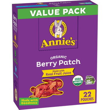 Annie'S Organic Building Blocks Fruit Flavored Snacks, Assorted Fruit Flavors, Gluten Free, 10 Pouches, 7 Oz