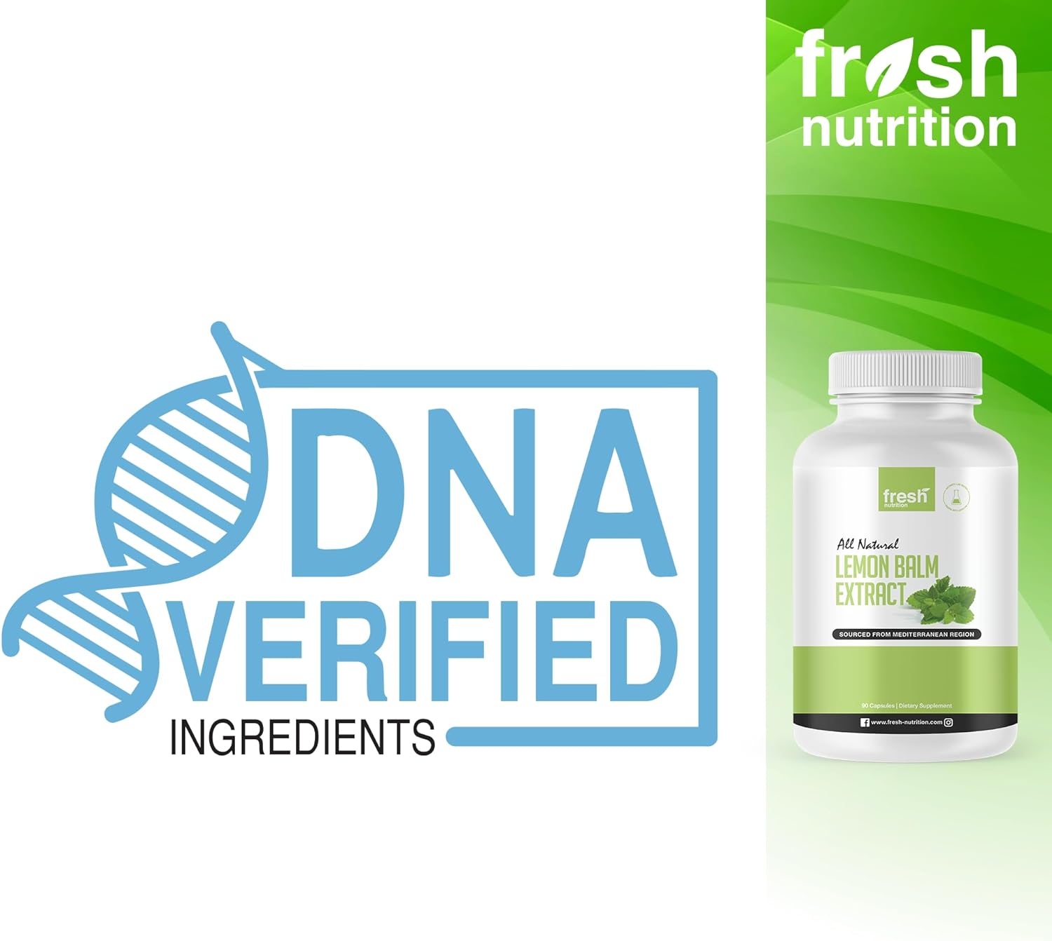 Fresh Nutrition Lemon Balm Extract Capsules. : Health & Household