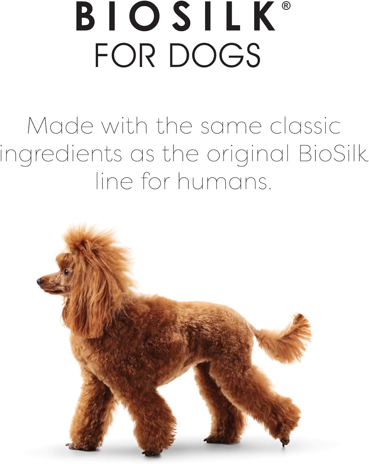 BioSilk for Dogs Silk Therapy Shampoo with Organic Coconut Oil | Coconut Dog Shampoo Waterless Shampoo | Dry Dog Shampoo from BioSilk Silk Therapy for Fresh Dog Coats - 6 Pack : Everything Else