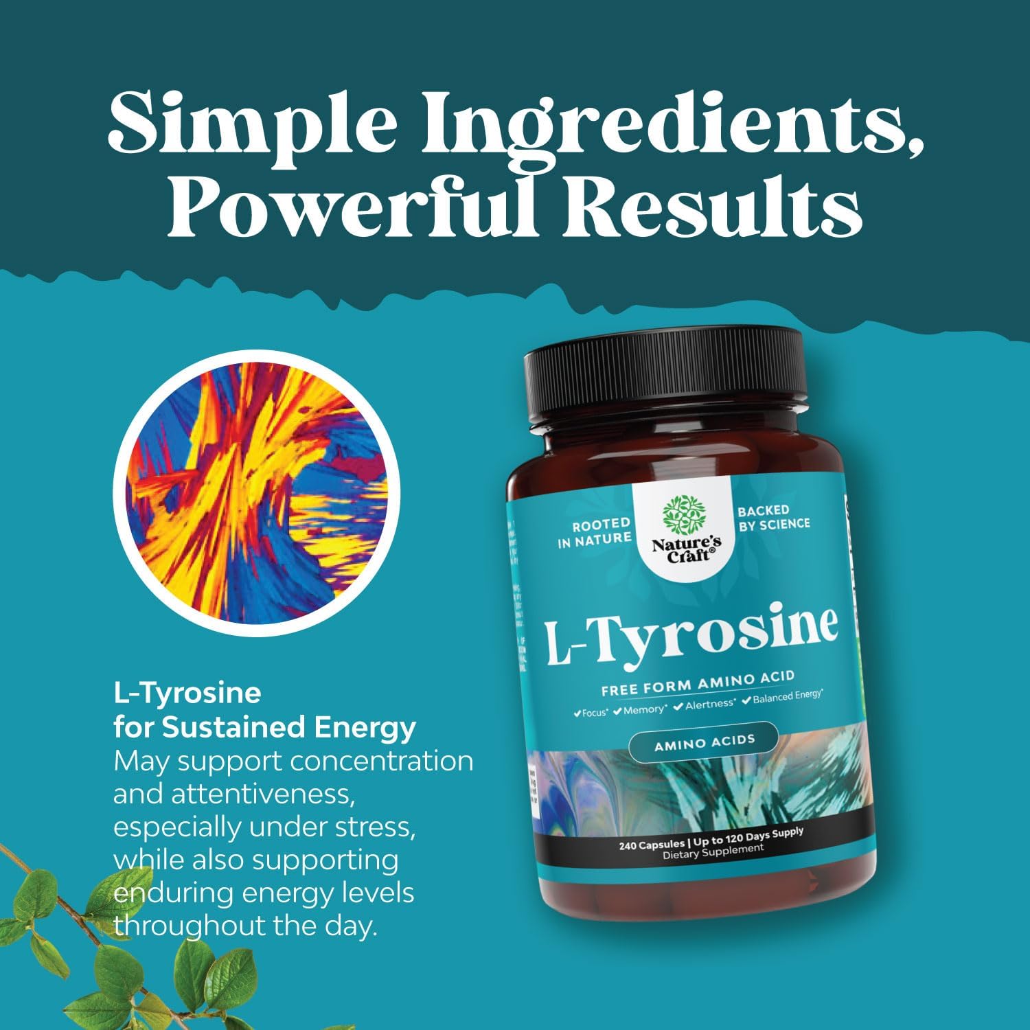 Natures Craft Free Form L Tyrosine 500mg Capsules - High Strength L-Tyrosine Supplement for Energy and Focus Support - Amino Acid Nootropic Supplement for Focus Attention and Cognition (240 Count) : Health & Household