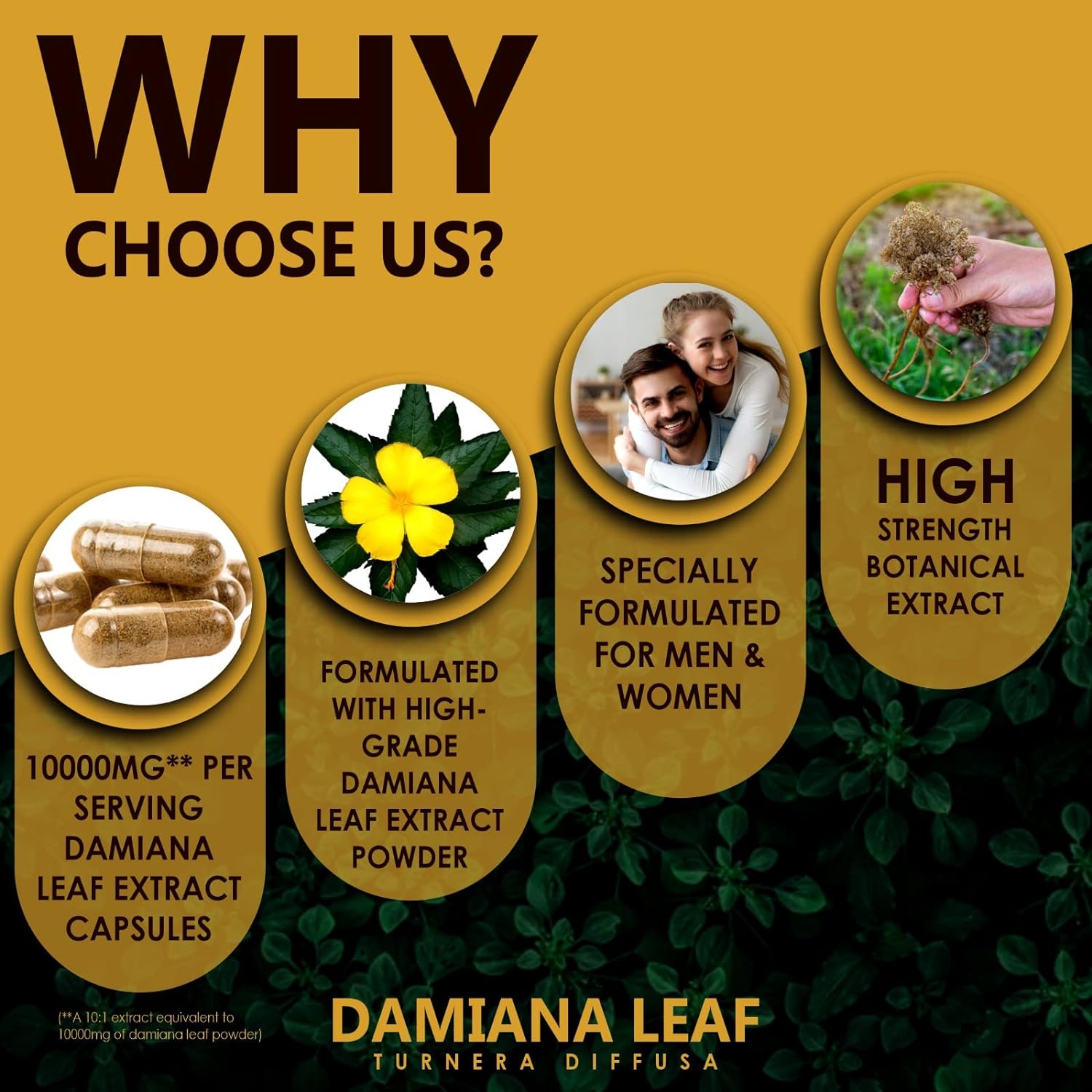 Earth BOTANIC Organic Damiana Leaf Extract 10:1 Equivalent to 10000mg 120 Capsules Gluten Free Dietary Supplements - Pure Vegan and No Additives -60 Days Supply : Health & Household
