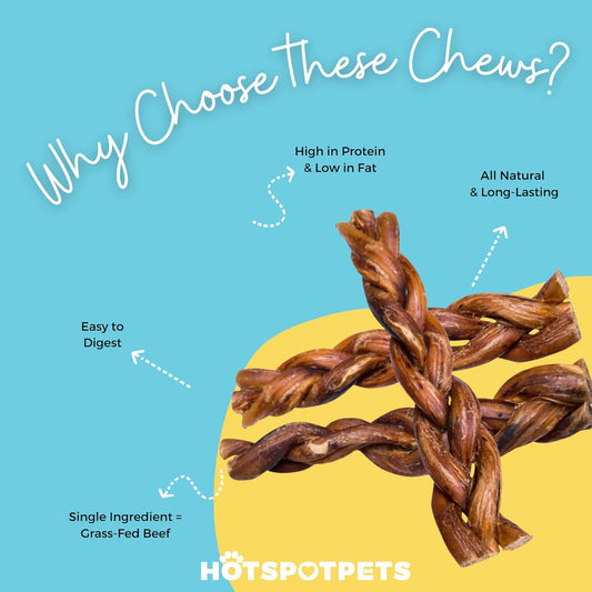 hotspot pets Braided Bully Sticks for Dogs - Premium All Natural Long Lasting Twisted Beef Pizzle Dog Chew Treats - Grain Free Fully Digestible Rawhide Alternative - 6 Inch Stix (20 Pack)