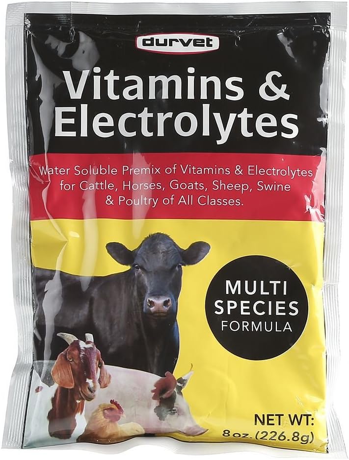 DURVET 136028 Vitamins & Electrolytes, 8 oz : Pet Supplies