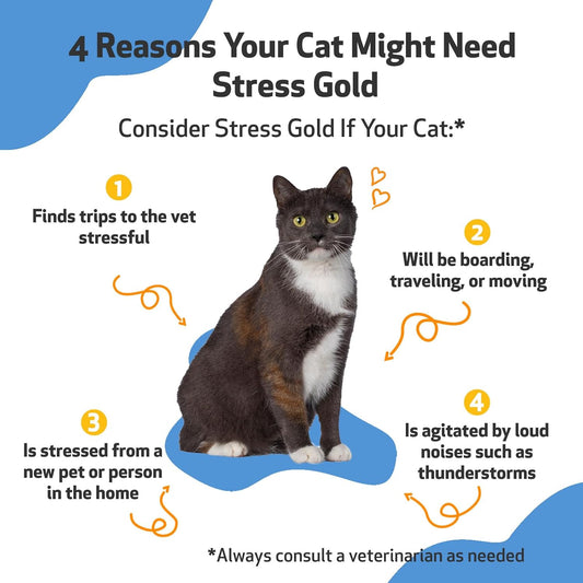 Pet Wellbeing Stress Gold For Cats - Vet-Formulated - Calming And Relaxing Support For High-Stress Situations - Natural Herbal Supplement 2 Oz (59 Ml)