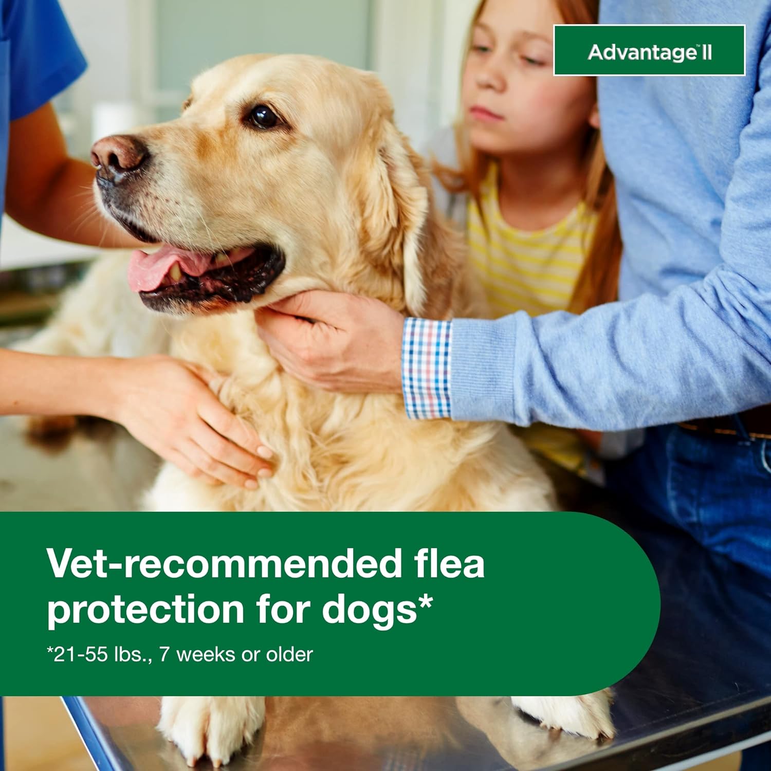 Advantage II Large Dog Vet-Recommended Flea Treatment & Prevention | Dogs 21-55 lbs. | 4-Month Supply : Pet Flea Drops : Pet Supplies