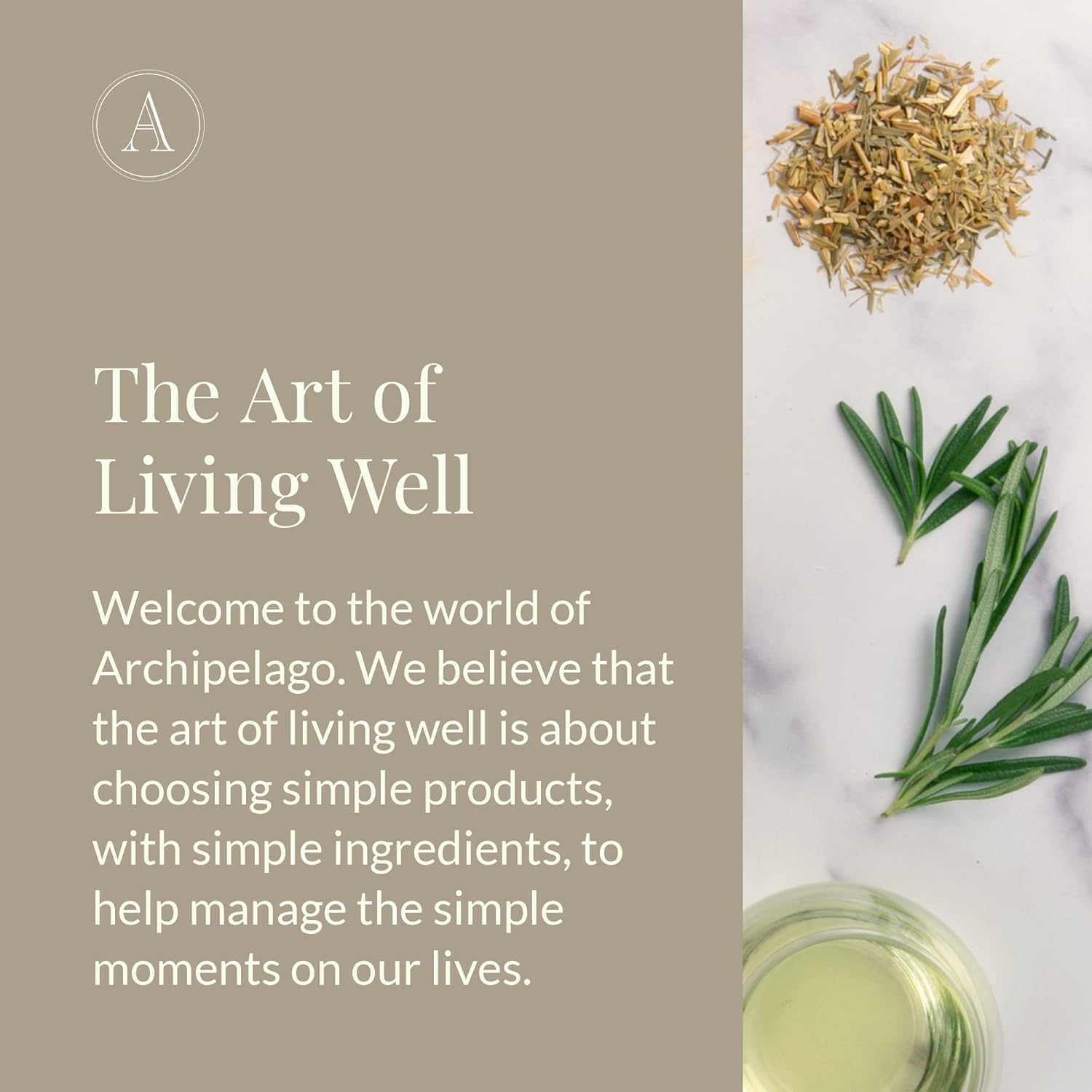 Archipelago Botanicals Bergamot Eucalyptus Lotion, Hydrating Lotion For Rejuvenated And Smooth Skin, Scented Body Lotion Made Without Parabens, Phthalates And Gmos (18 Oz) : Beauty & Personal Care