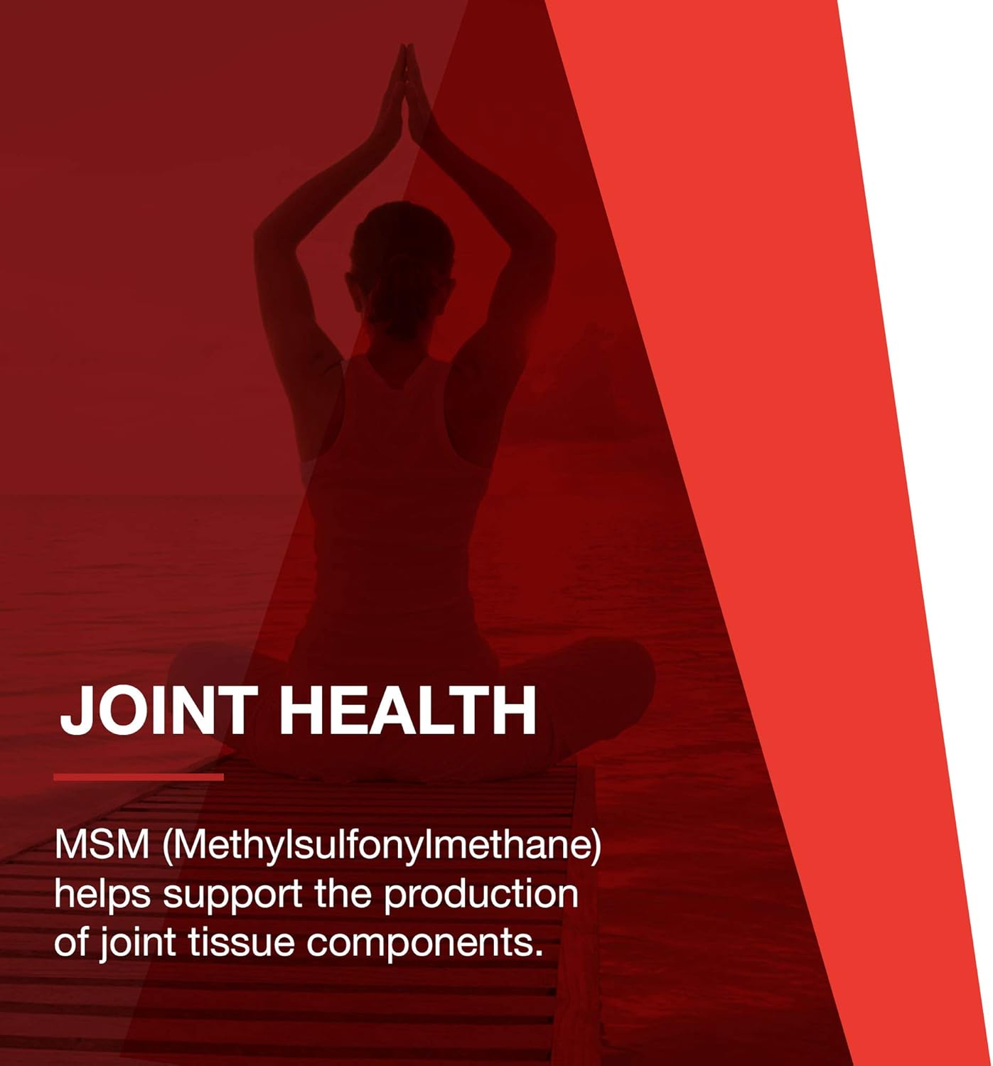 PROTOCOL FOR LIFE BALANCE - Liquid Glucosamine and Chondroitin with MSM - Supports Joint Mobility and Comfort in Easy to Swallow Liquid Format - Citrus Flavor - 16 Fl oz (473 mL) : Health & Household