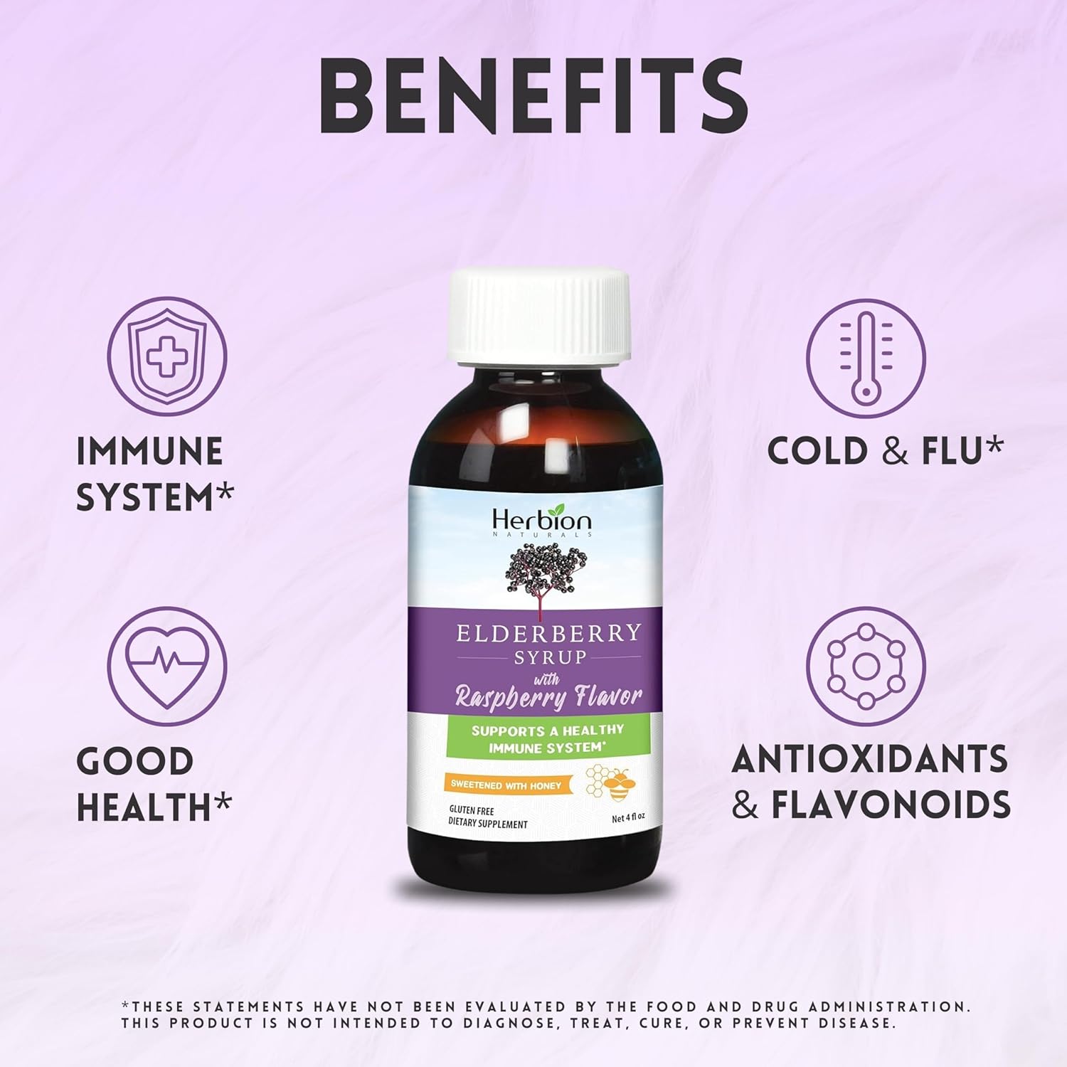 Herbion Naturals elderberry syrup: immune boost for all - 4 fl oz - honey-sweetened, raspberry flavor - no artificial ingredients - USA (Pack of 2) : Health & Household