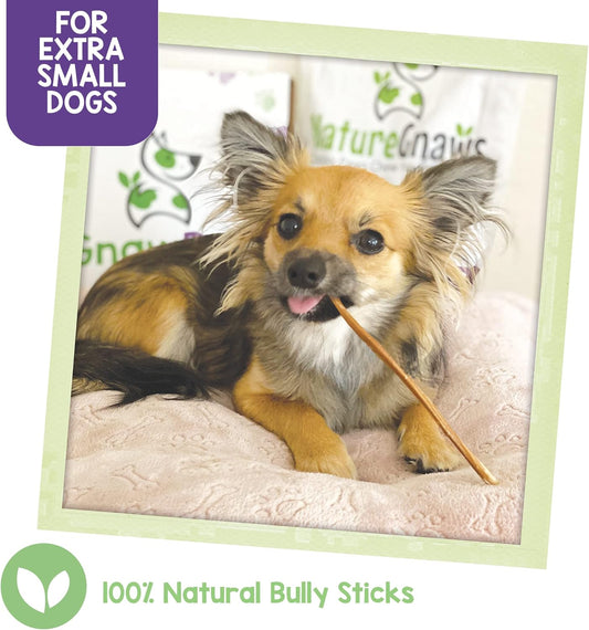 Nature Gnaws Extra Thin Bully Sticks For Small Dogs 5-6" (10 Count) - Long Lasting For Light Chewers And Puppies - Natural Beef Dog Chew Bones