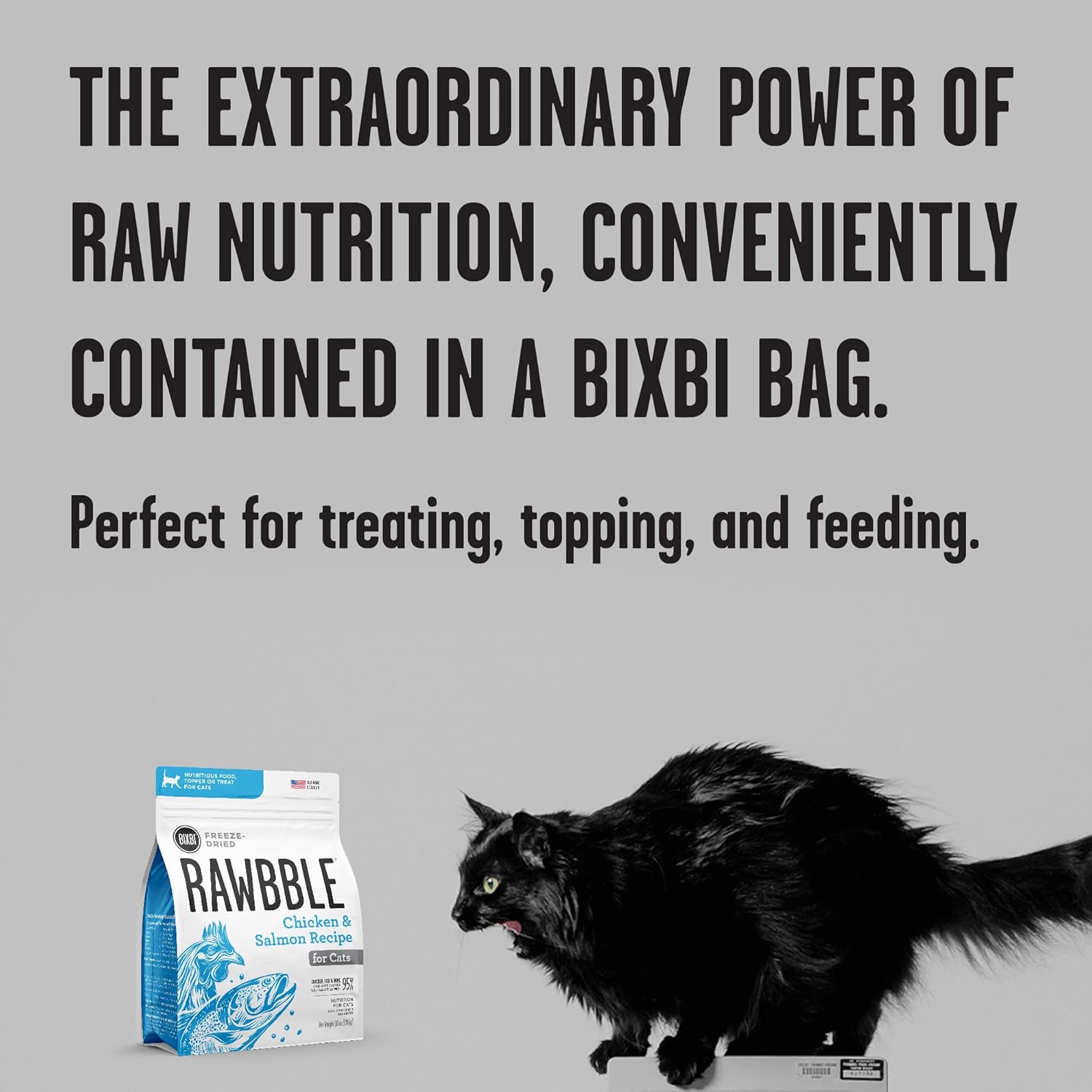 BIXBI Rawbble Freeze Dried Cat Food, Chicken & Salmon Recipe, 10 oz - 95% Meat and Organs, No Fillers - Pantry-Friendly Raw Cat Food for Meal, Treat or Food Topper - USA Made in Small Batches : Pet Supplies