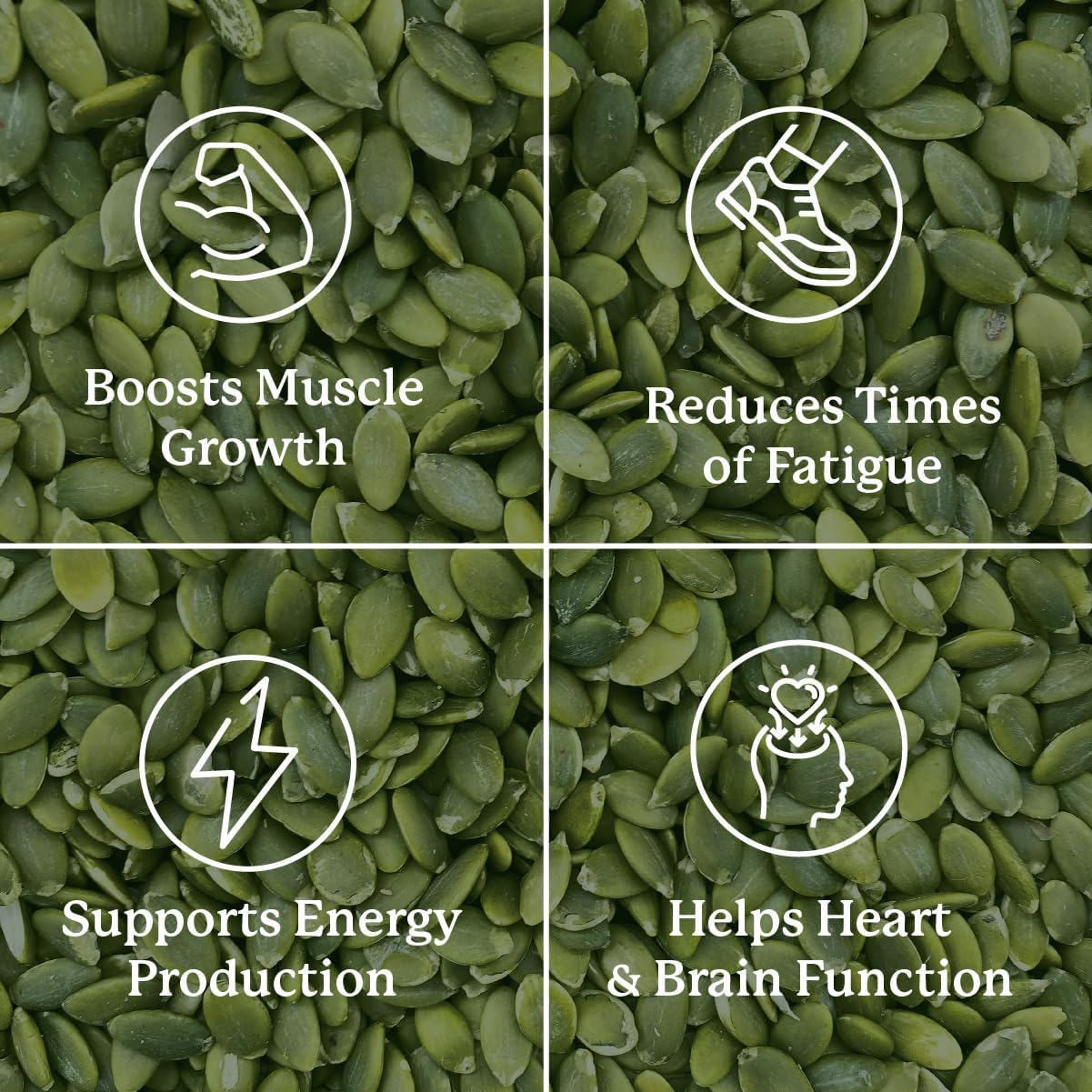 Nature's Sunshine Magnesium Complex - High Potency Magnesium Supplement for Muscle Function, Energy Production, & Reduction of Tiredness and Fatigue - 50 Servings (100 Capsules) : Health & Household