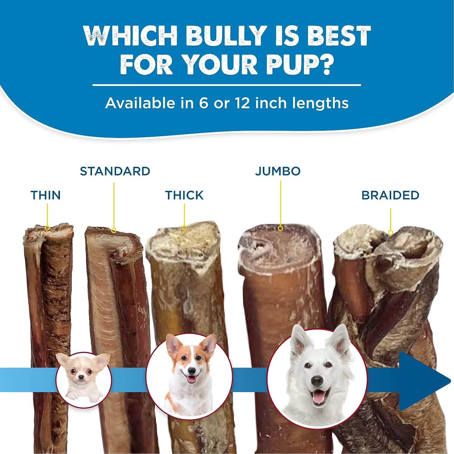 Best Bully Sticks All-Natural Premium 6 Inch Jumbo Bully Sticks for Large Dogs - USA Baked & Packed - 100% Grass-Fed Beef - Single Ingredient Grain & Rawhide Free Dog Chews - 25 Pack : Pet Supplies
