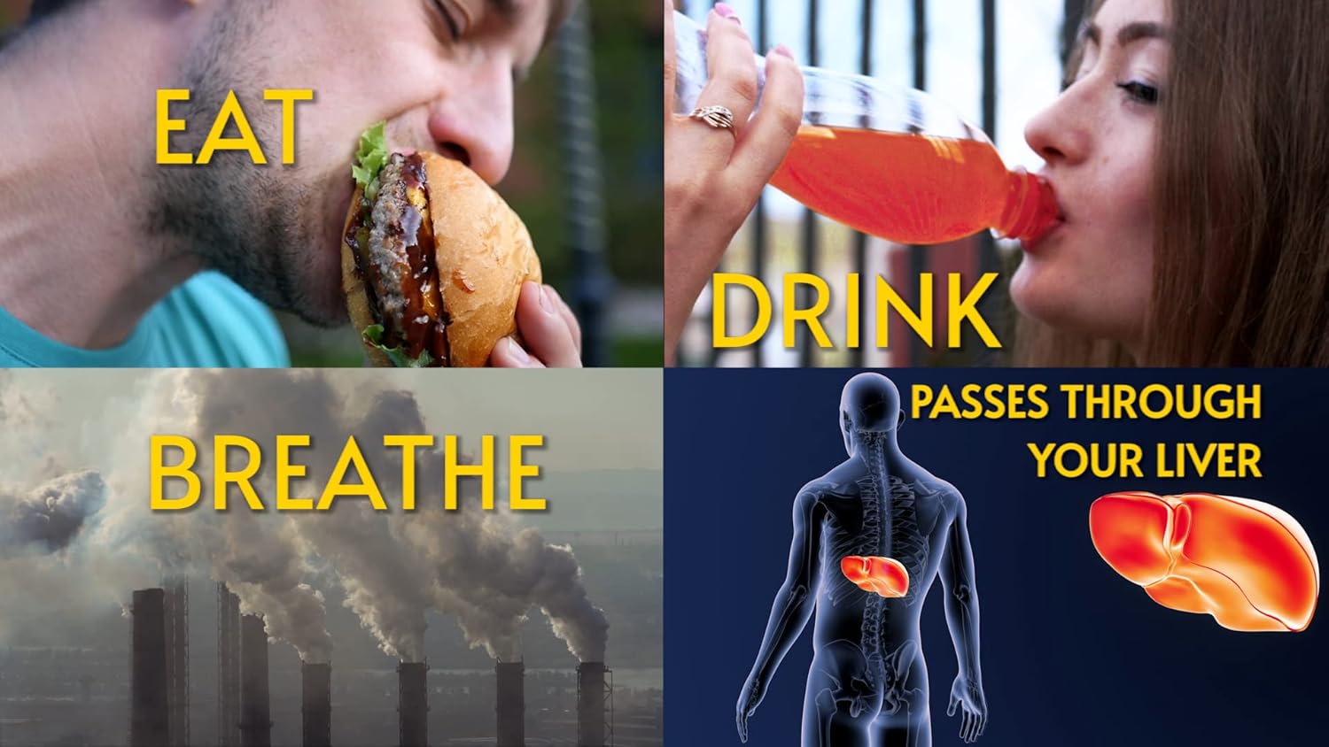 Liverite Liver Aid With Milk Thistle 60 Capsules, Liver Support, Liver Cleanse, Liver Care, Liver Function, Energy : Health & Household