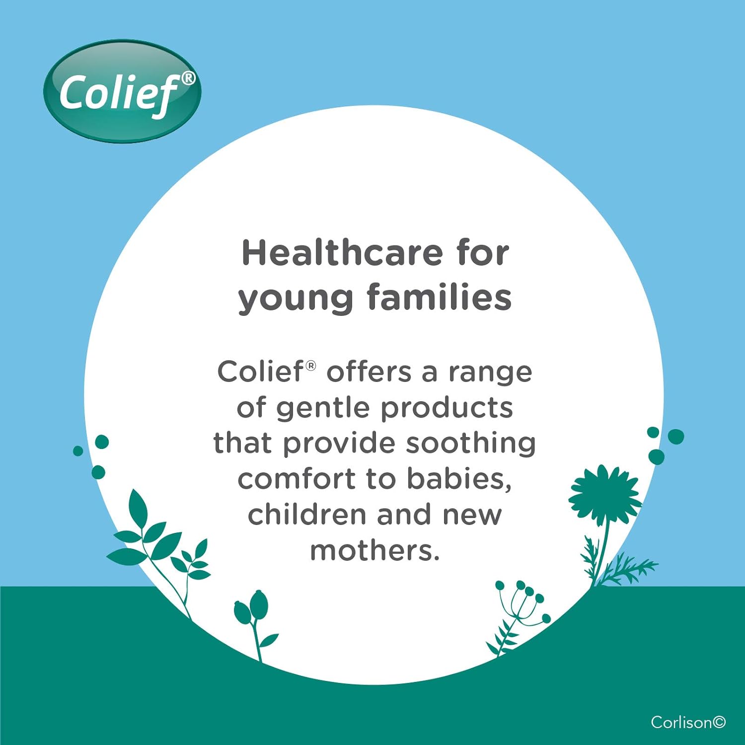 Colief - Baby Scalp Oil - 30ml - Soothing Moisturising Oil for Baby Scalp and Skin - Preventative of Itchy, Flaky, Dry, Damaged Skin and Cradle Cap. (Pack of 2)