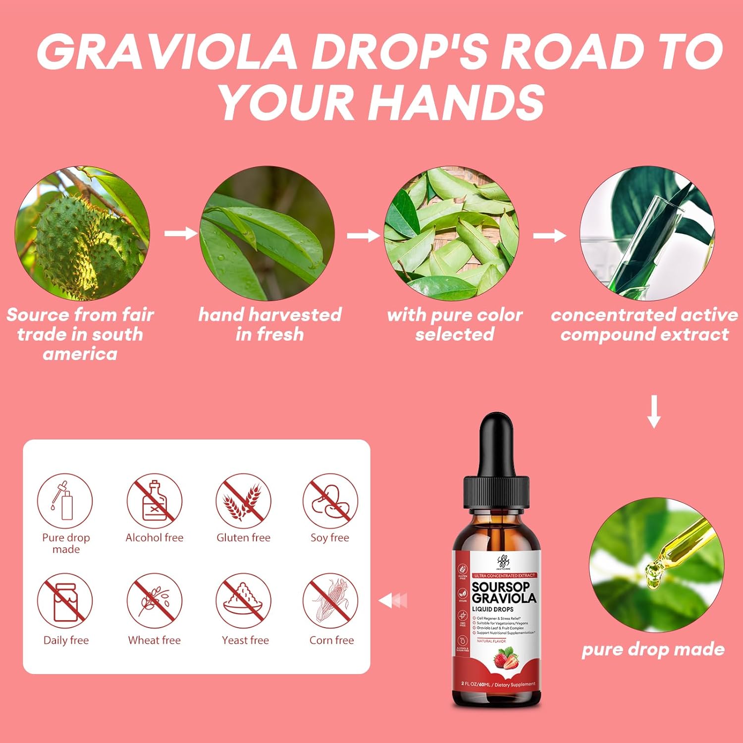 Imatchme Soursop Graviola Liquid Drop, Soursop Bitters Liquid, Natural Soursop Leaves & Fruit Complex For Overall Wellness, Sugar/Caffeine/Gluten Free, Strawberry Flavor, 2 Fl Oz : Health & Household