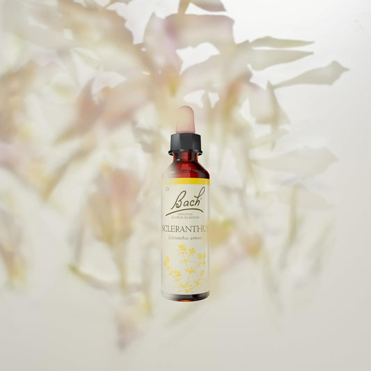 Bach Original Flower Remedies (Scleranthus) Know Your Own Mind, Be Decisive, Emotional Wellness, Natural Flower Essence, 20Ml