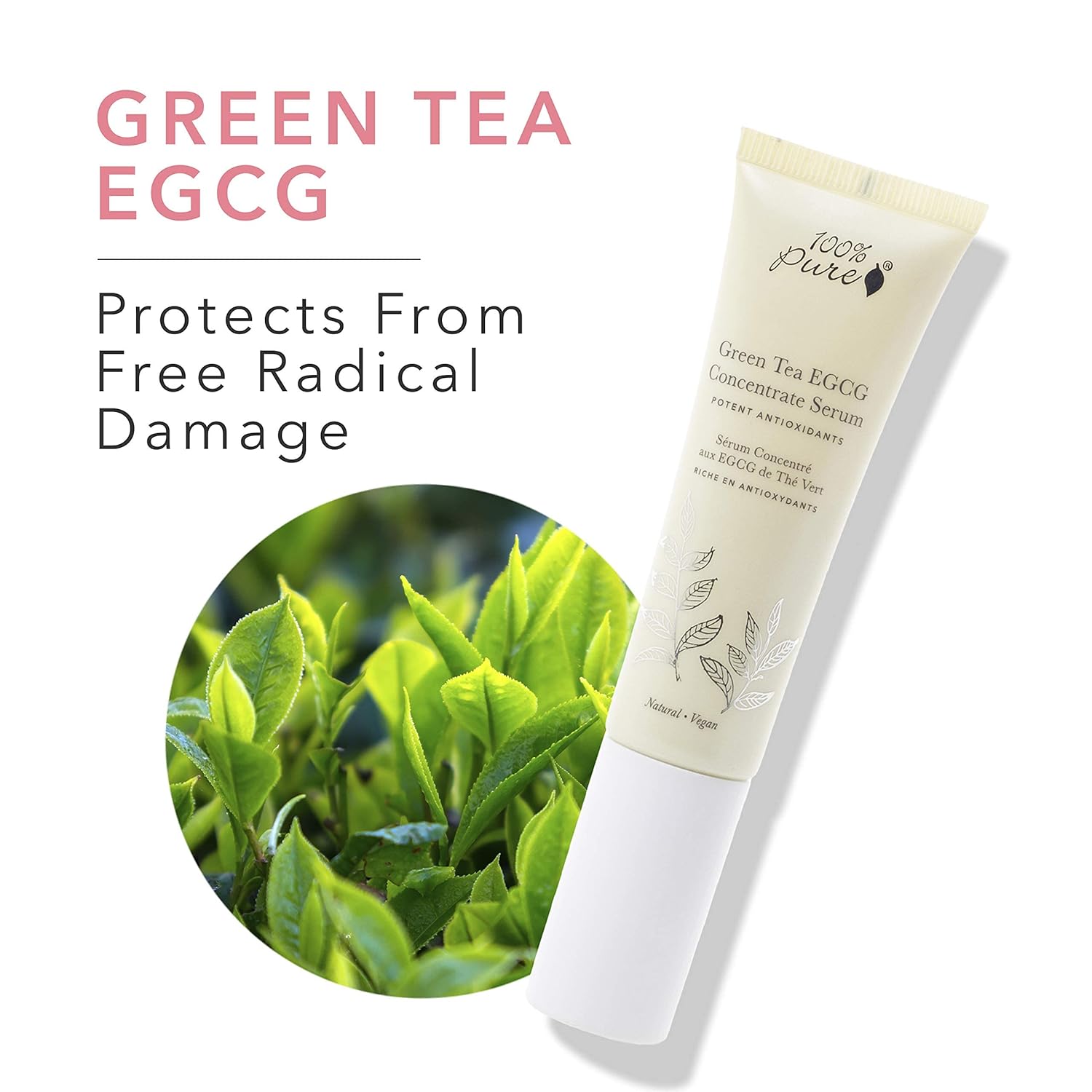 100% Pure Green Tea Egcg Serum, Daily Anti-Wrinkle Serum For All Skin Types, Anti-Wrinkle Facial Serum, Made With Green Tea Egcg (1 Fl Oz)