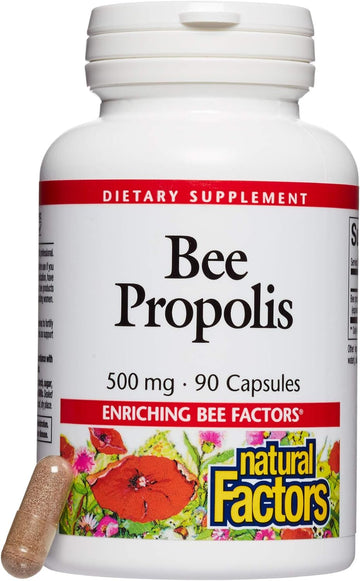 Natural Factors, Bee Propolis Extract 500 Mg, Supports A Healthy Immune System, 90 Capsules (90 Servings)
