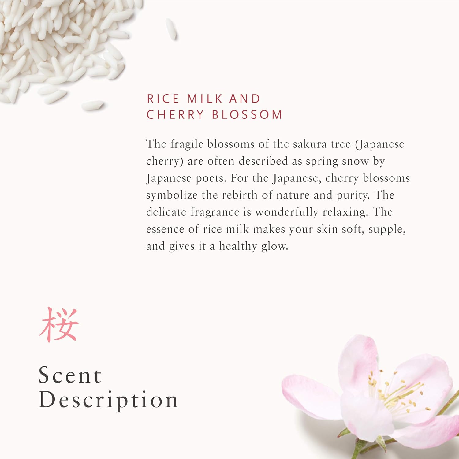 Rituals The Rituals Of Sakura Foaming Shower Gel, 6.7 Fl. Oz : Beauty & Personal Care