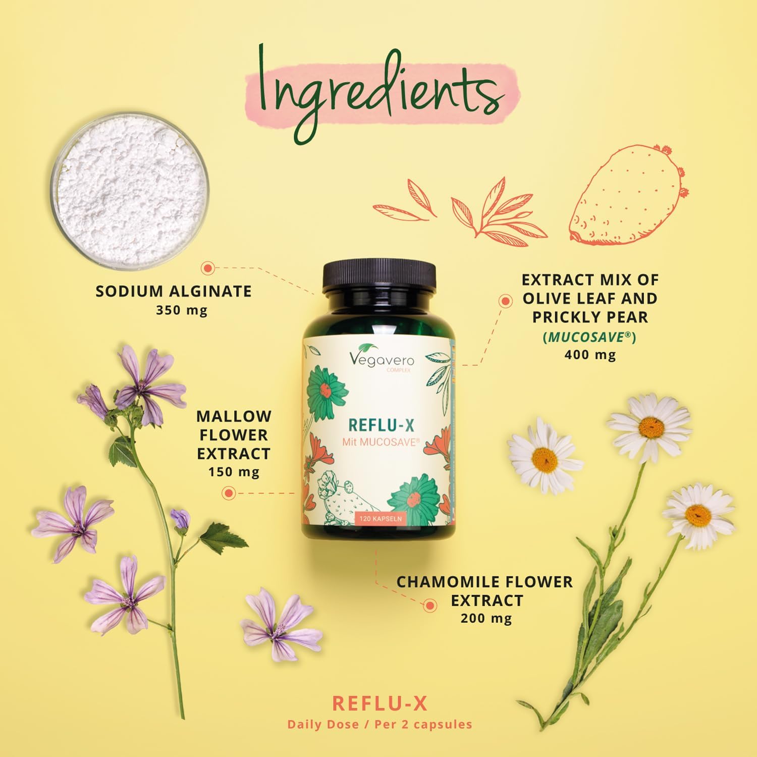 Vegavero Reflu-X Complex | Natural Antacid | Stomach Reflux And Gastritis | With Mucosave®, Olive Leaf Extract, Sodium Alginate, Chamomile | No Additives | 120 Capsules | Vegan