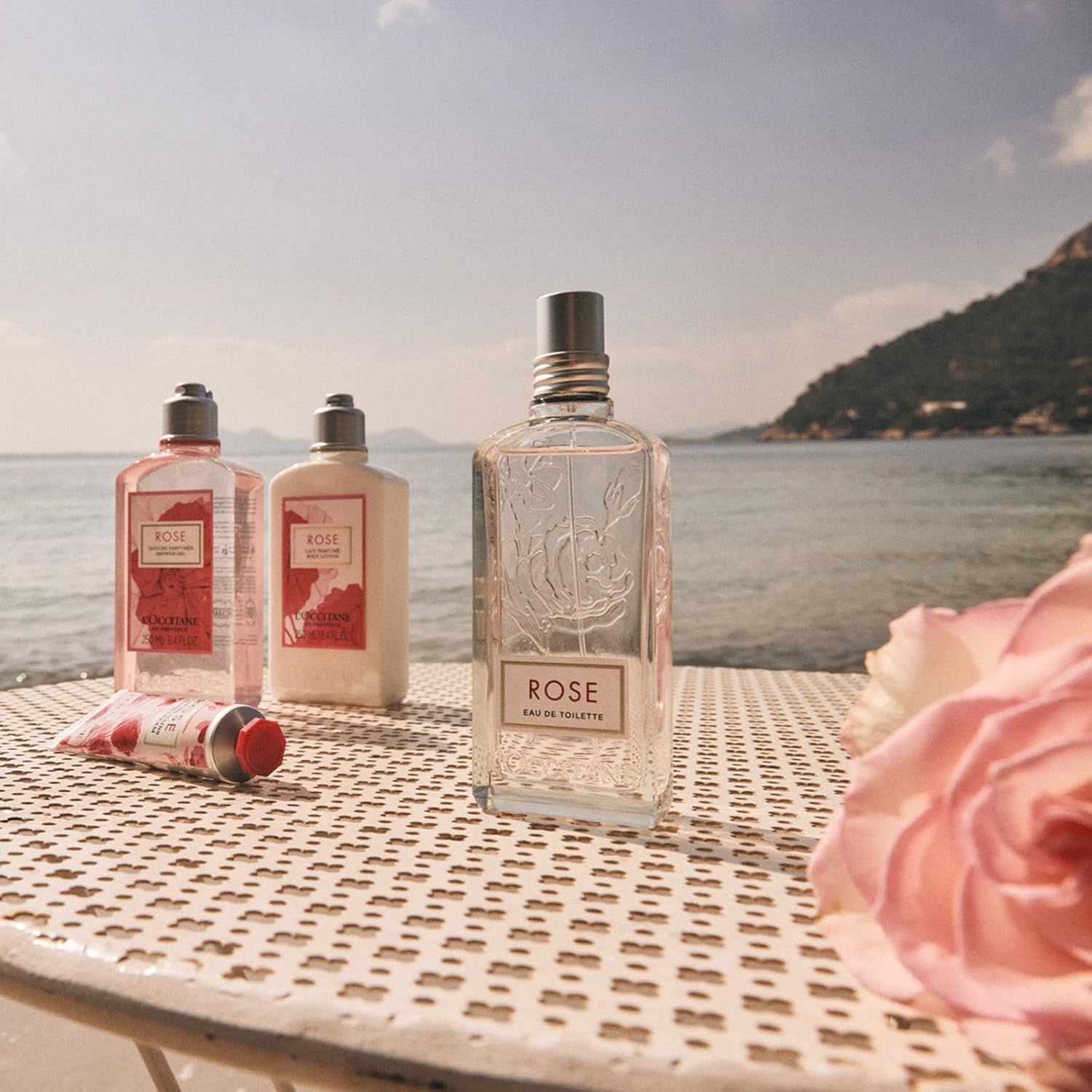 L'Occitane Barbotine Eau De Parfum 50Ml : Beauty & Personal Care