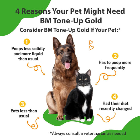 Pet Wellbeing Bm Tone-Up Gold For Dogs & Cats - Vet-Formulated - Diarrhea & Loose Or Runny Stools - Natural Herbal Supplement 4 Oz (118 Ml)