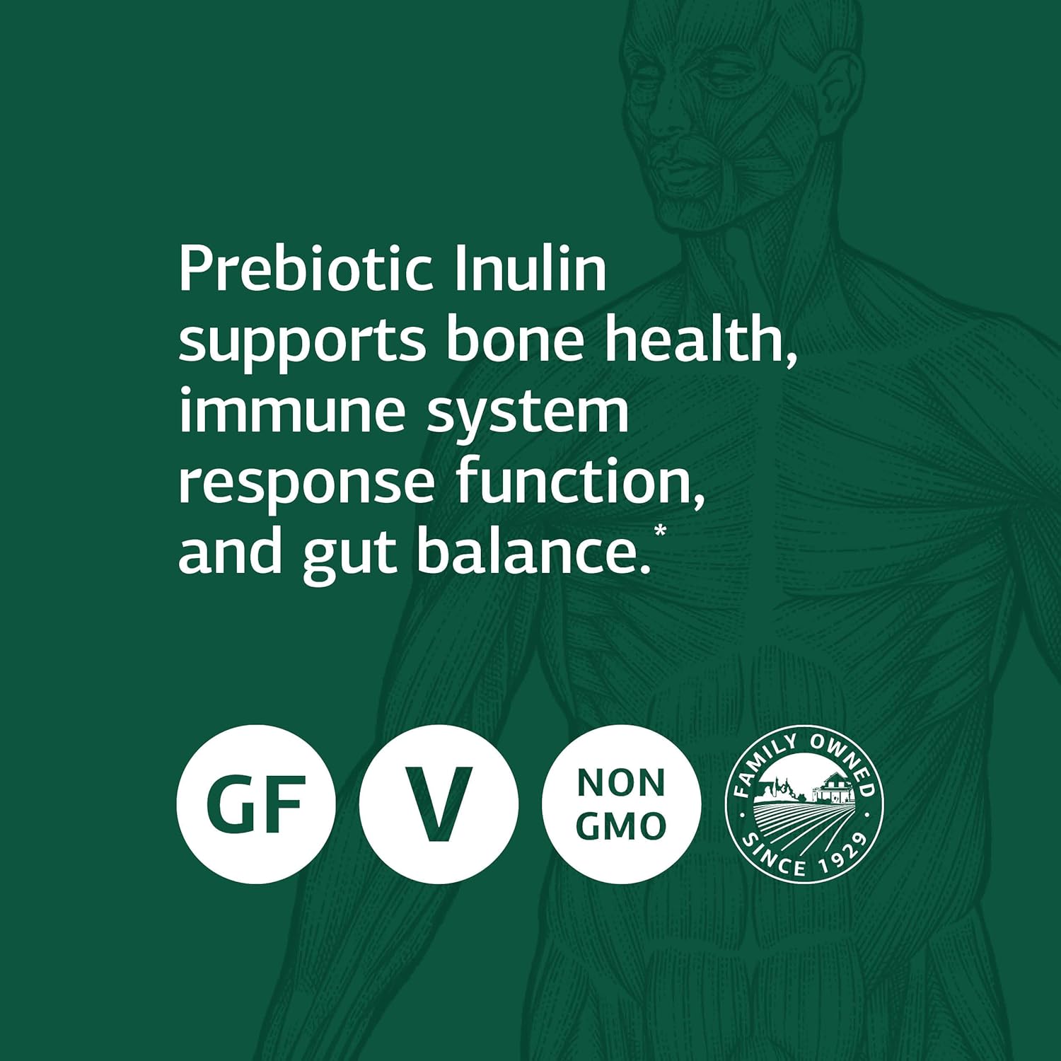Standard Process Prebiotic Inulin - Whole Food Immune Health and Immune Support, Digestion and Digestive Health, Gut Health and Bone Health with Magnesium Lactate, Calcium Lactate, and More - 9 Ounce : Health & Household