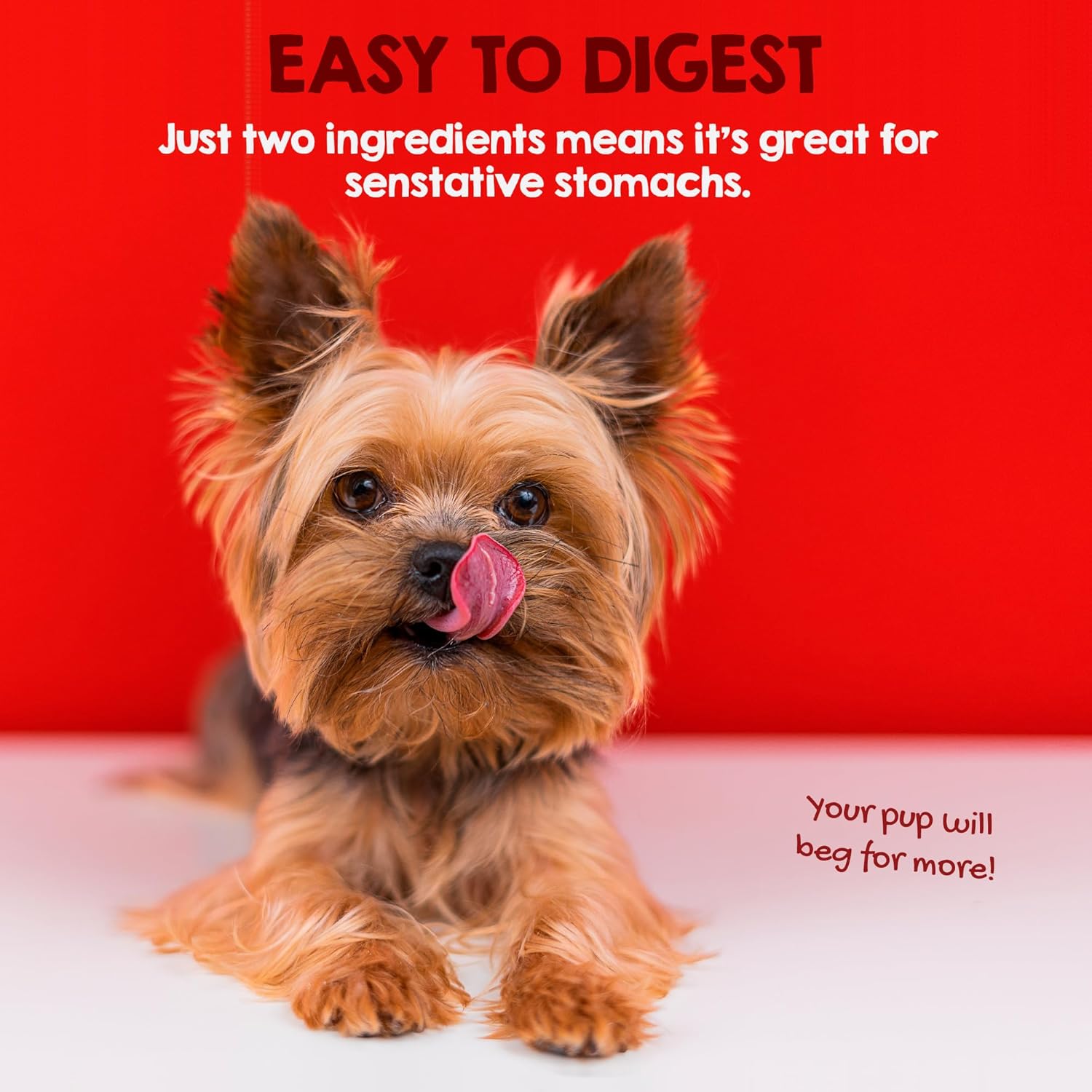 Riley's Peanut Butter Beef Hide Dog Treats, USA Sourced & Made Small Dog Treats, Chew Sticks, Raw Hides for Small Dogs, Rawhide Sticks for Dogs, 21 ct : Pet Supplies