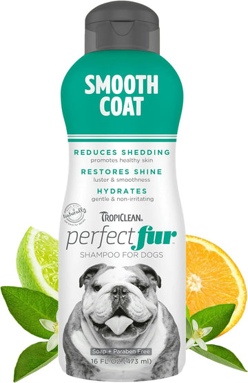TropiClean PerfectFur Dog Shampoo - Used by Groomers - Derived from Natural Ingredients - Moisturising & Shed Control Formula for Smooth Coat Breeds like Bulldogs, Boxers & Pointers - 473ml?PFSMSH16Z
