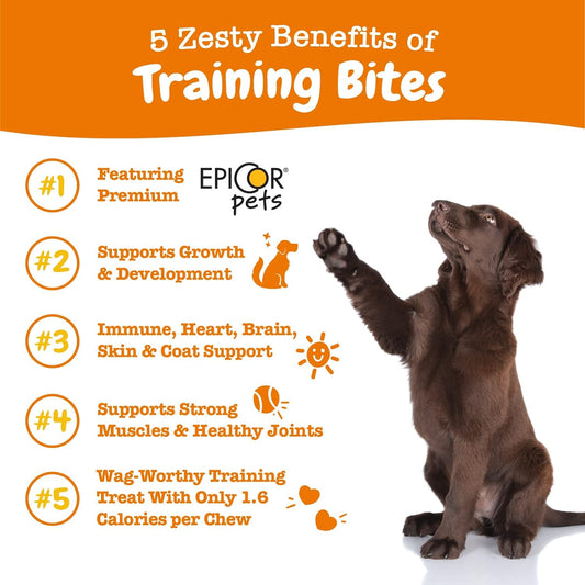 Zesty Paws Training Treats - Support Joint, Muscle, Immune Health - Fish Oil Omega 3 Fatty Acids - Pb Flavor - 12Oz