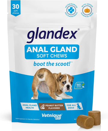 Glandex Anal Gland Soft Chew Treats With Pumpkin For Dogs Digestive Enzymes, Probiotics Fiber Supplement For Dogs Boot The Scoot (Peanut Butter Chews, 30Ct)