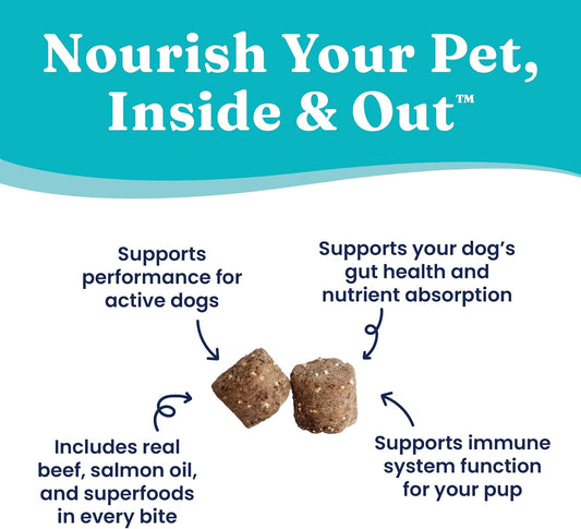 Solid Gold Healthy Dog Treats - Functional Dog Treats For Training + Performance - Beef Dog Treat With Salmon Oil & Superfoods Healthy Training Treats For Dogs - 5.2 Oz