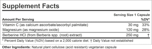 ANDREW LESSMAN Berberine 250-360 Capsules ? Barberry Root Extract. Small Easy to Swallow Capsules