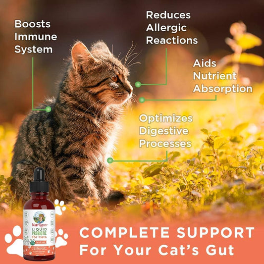 Maryruth Organics Cat Probiotic | Usda Organic Probiotic For Cats | Cat Probiotic For Digestive Support | Supplement For Gut Health & Beneficial Bacteria | Vegan | Non-Gmo | Gluten Free | 4 Fl Oz