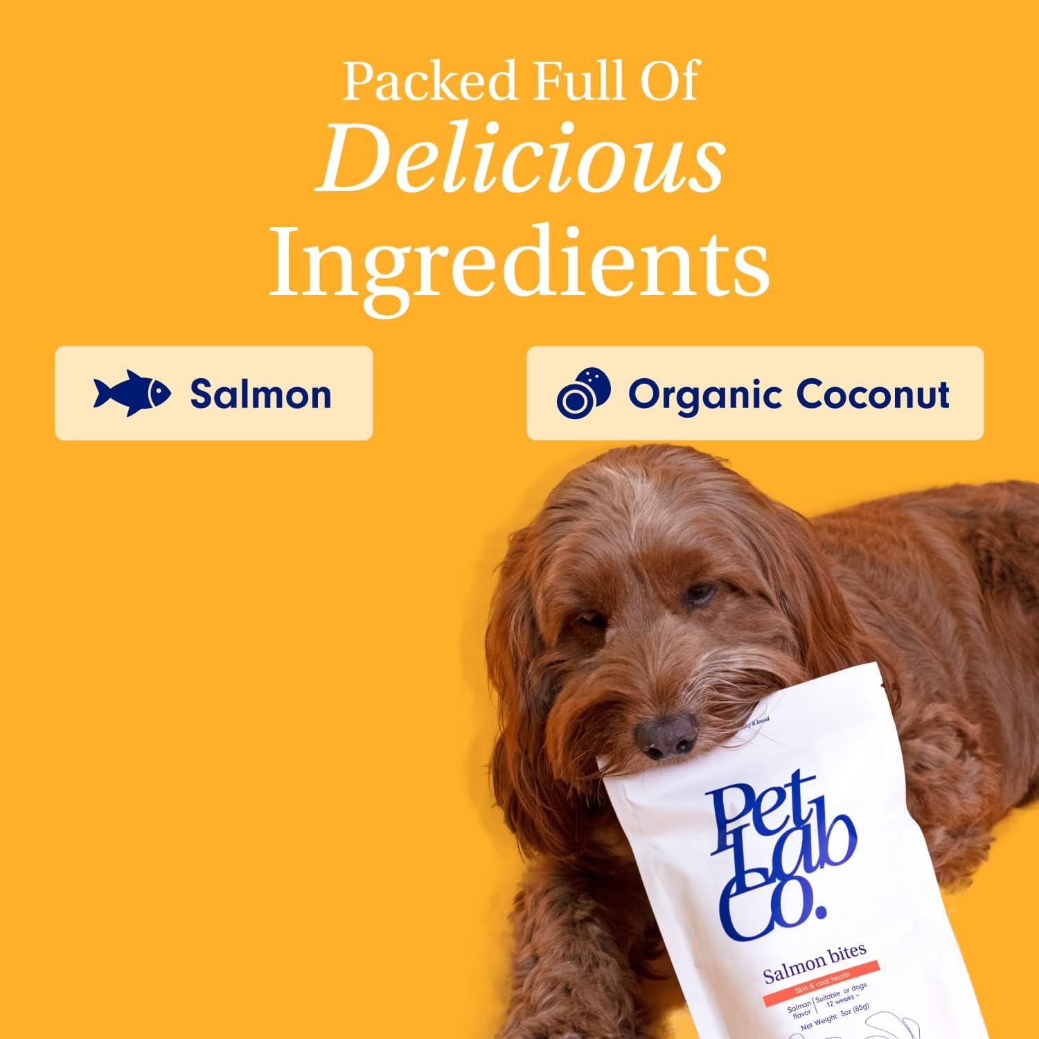 Petlab Co. Salmon Bites for Dogs – Premium Salmon Dog Treats with Beneficial Fatty Acids, Vitamins & Minerals - Carefully Selected Ingredients – Delicious Reward : Pet Supplies