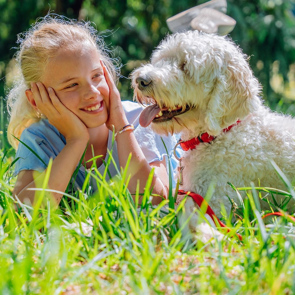 Nobby Collar Soft Grip, 50 - 65 cm/ 25 mm, Red :Pet Supplies