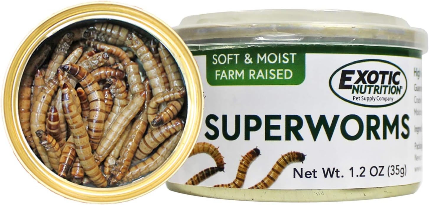 Canned Superworms (1.2 Oz.) - Healthy High Protein Insect Treat - Hedgehogs, Sugar Gliders, Reptiles, Wild Birds, Chickens, Lizards, Bearded Dragons, Skunks, Opossums, Fish, Amphibians, Turtles