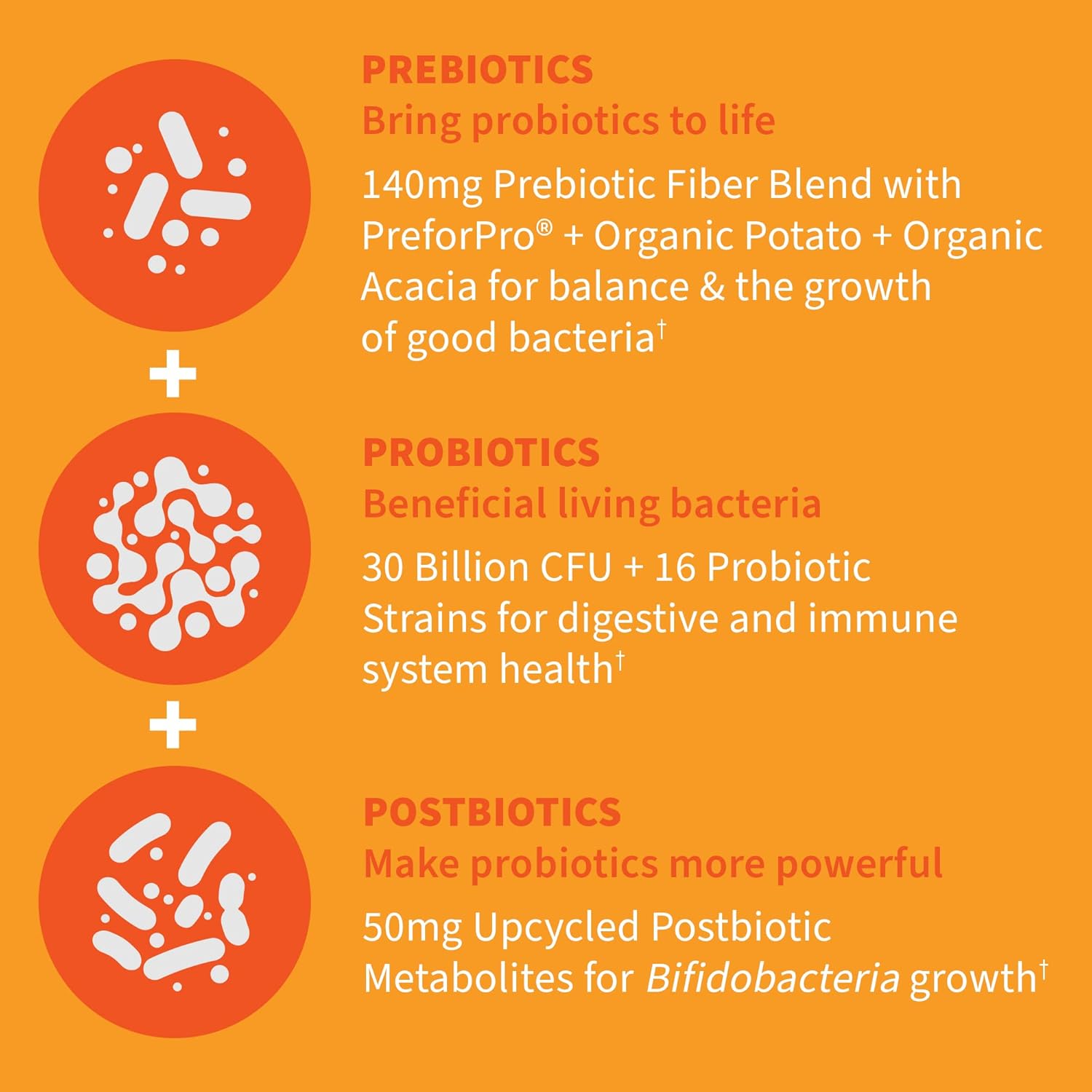 Garden Of Life Dr Formulated Once Daily 3-In-1 Complete Probiotics, Prebiotics & Postbiotics - Pre + Pro + Postbiotic Supplement For Adults’ Digestive & Immune Health, 30 Billion Cfu, 30 Day Supply : Health & Household