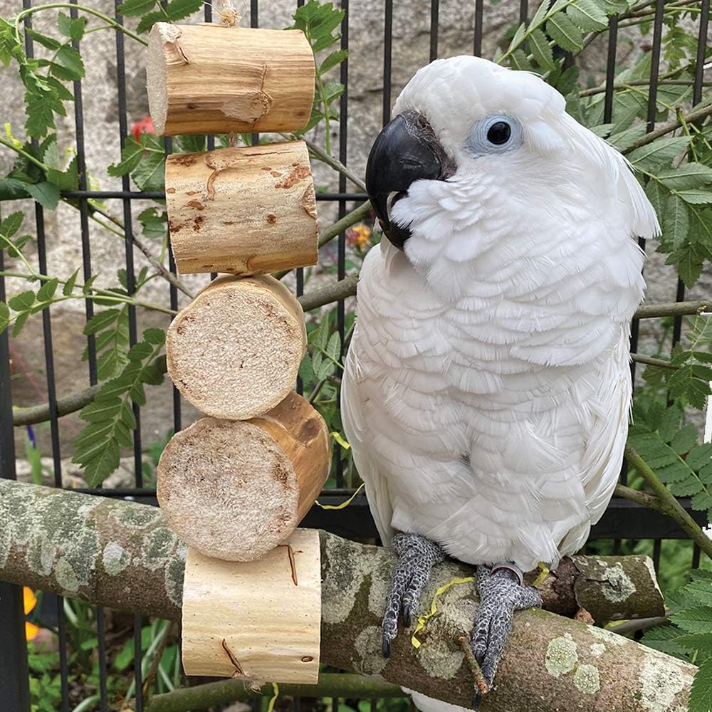 Wesco Pet Fiesta Bird Kabob Shreddable Parrot toy?FD20081