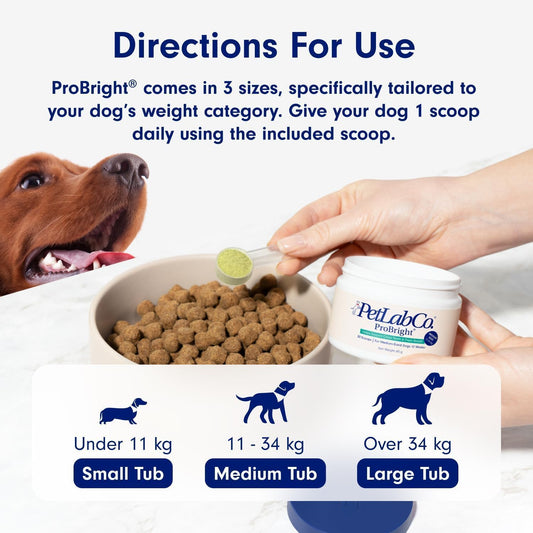 PetLab Co. ProBright® Dental Powder - Dog Breath Freshener - Teeth Cleaning Made Easy – Targets Tartar & Bad Breath - Formulated for Medium Dogs