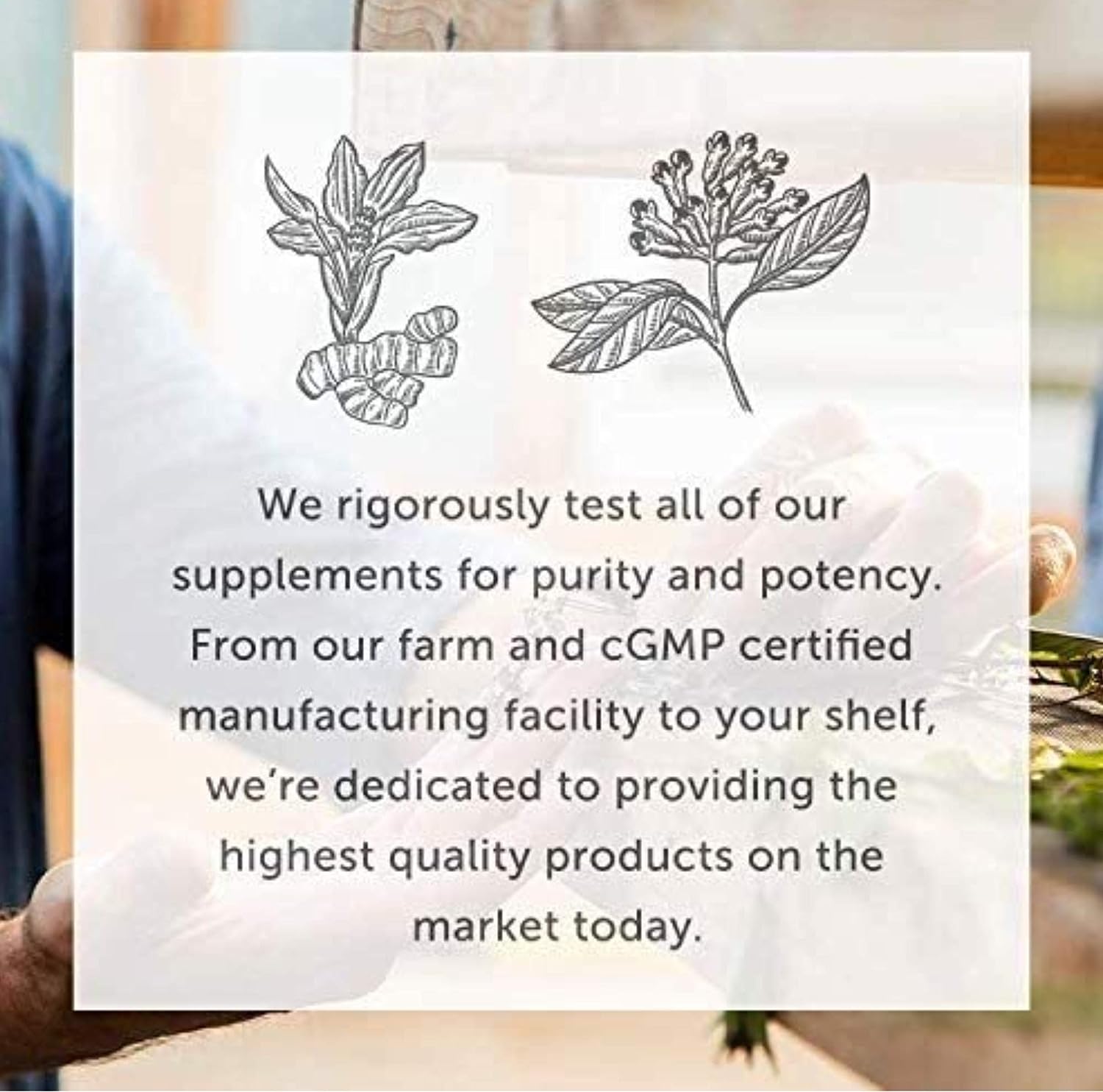 Global Healing Organic Super Greens Powder Blend - Greens Superfood Powder with 15 Raw Whole Sprouts - Delicious Green Juice Smoothie Mix for Daily Nutrition - Non-GMO, Gluten-Free Greens Supplements : Health & Household