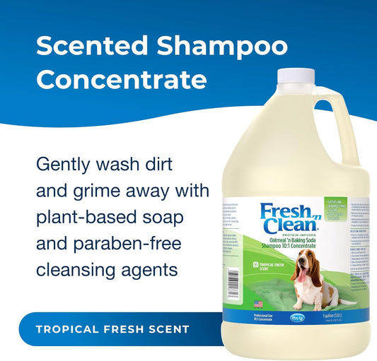 Pet-Ag Fresh ’N Clean Oatmeal ’N Baking Soda Shampoo - Tropical Fresh Scent (10:1 Concentrate) - 1 Gallon - Nurtures Dry, Itchy Skin With Vitamin E & Aloe - Strengthens & Repairs - Soap Free