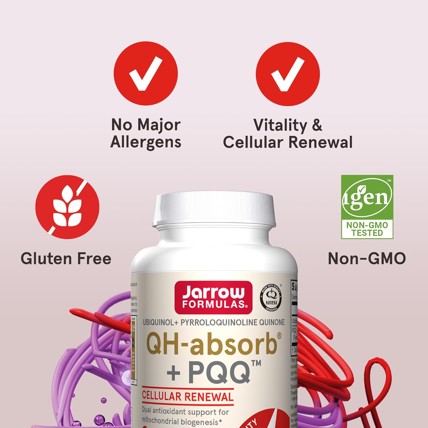 Jarrow Formulas QH-Absorb + PQQ, Dietary Supplement, Antioxidant Support for Mitochondrial Biogenesis, Cellular Energy Production and Cardiovascular Health, 30 Softgels, 30 Day Supply : Health & Household