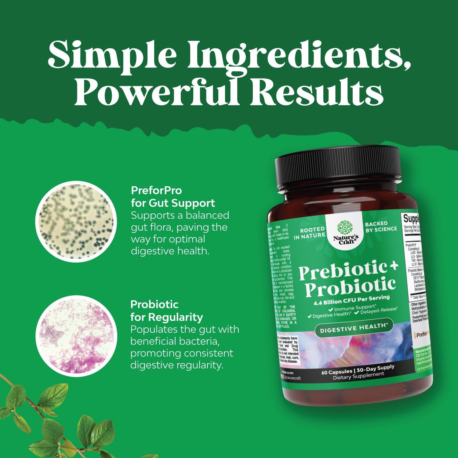 Prebiotics and Probiotics Gut Health Supplement - Super Potent Digestive Health Acidophilus Probiotic Capsules with Men and Womens Probiotics and Prebiotics for Colon Digestive Support and Immunity : Health & Household