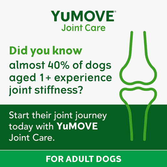 YuMOVE Daily Bites For Adult Dogs | Joint Supplement for Dogs, with Glucosamine, Chondroitin, Green Lipped Mussel | Aged 6-8 | 60 Chews?YMBA60