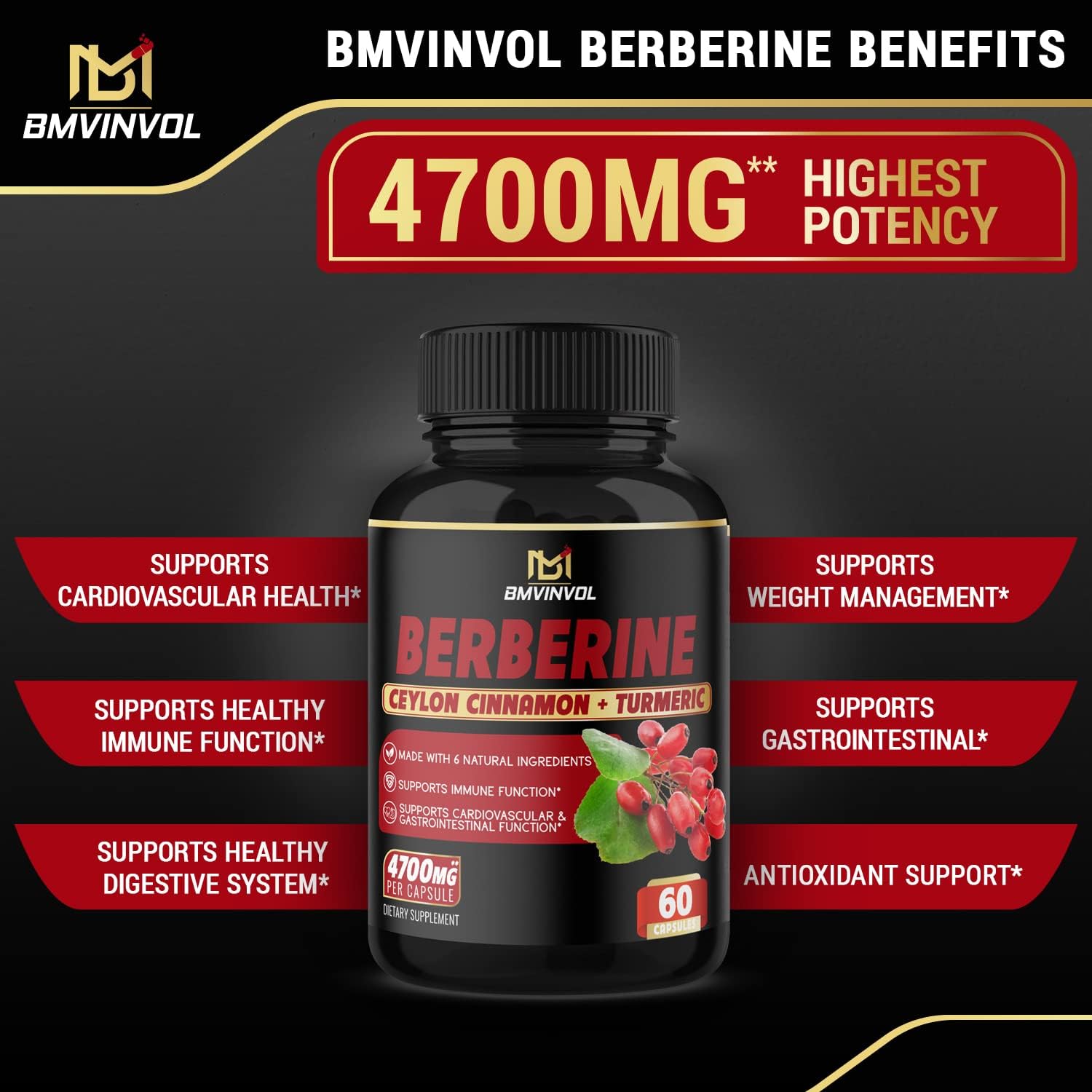 BMVINVOL (2 Packs) Berberine Supplement 4700mg Plus Ceylon Cinnamon, T