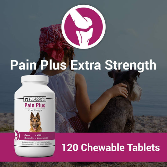 Vet Classics Pain Plus Extra Strength Health Supplement for Dogs - 120 Chewable Tablets