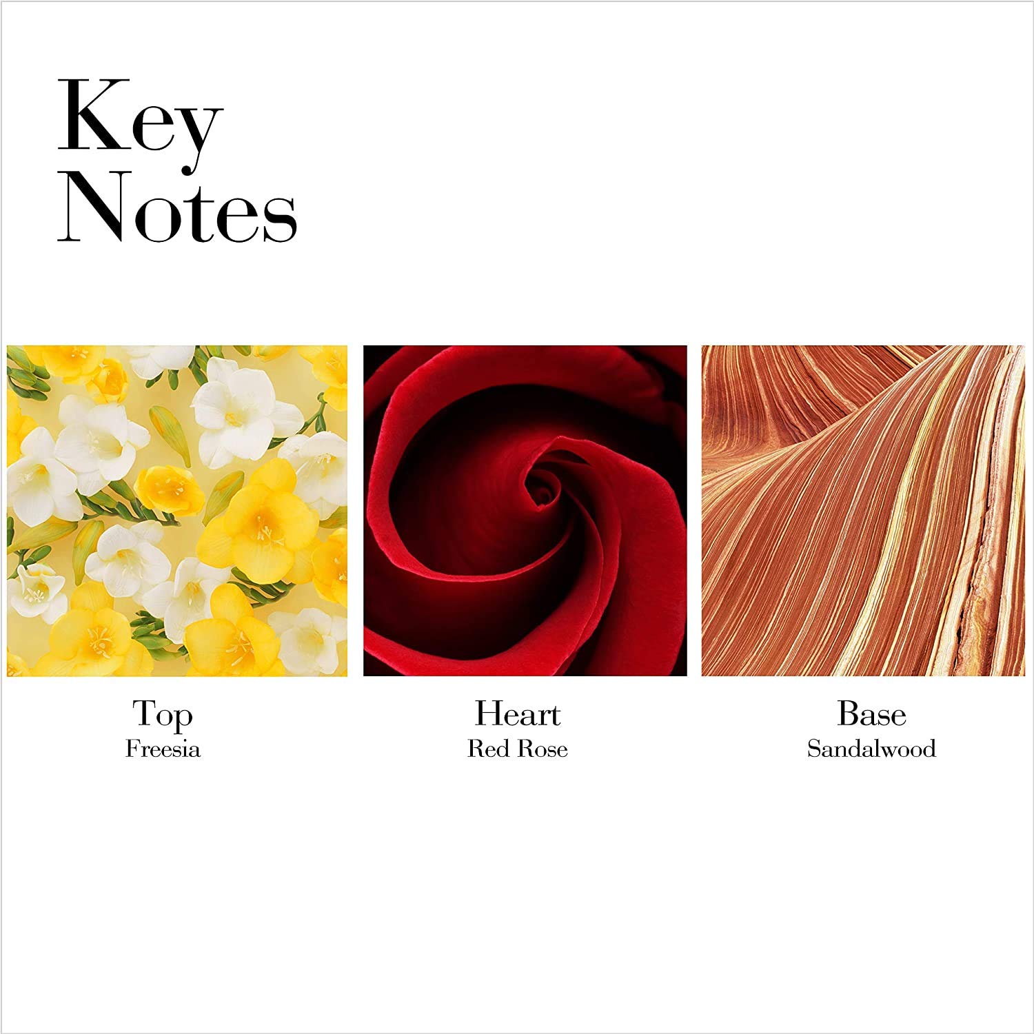 Elizabeth Arden Red Door Perfumed Body Lotion, 6.8 Oz