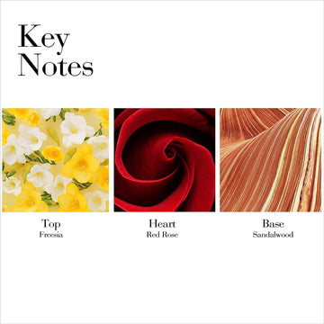 Elizabeth Arden Red Door Perfumed Body Lotion, 6.8 Oz